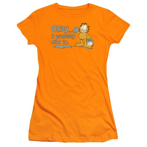 Juniors Sheer Cap Sleeve