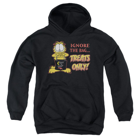 Youth Hooded Sweatshirt