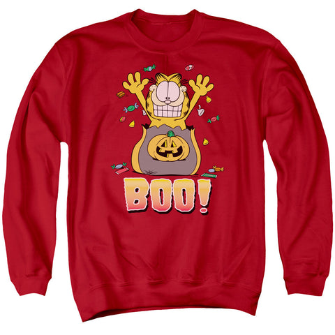 Adult Crewneck Sweatshirt