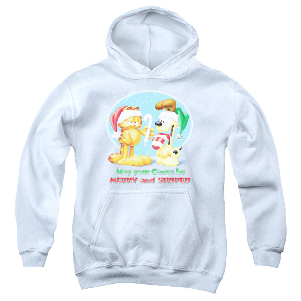 Youth Hooded Sweatshirt