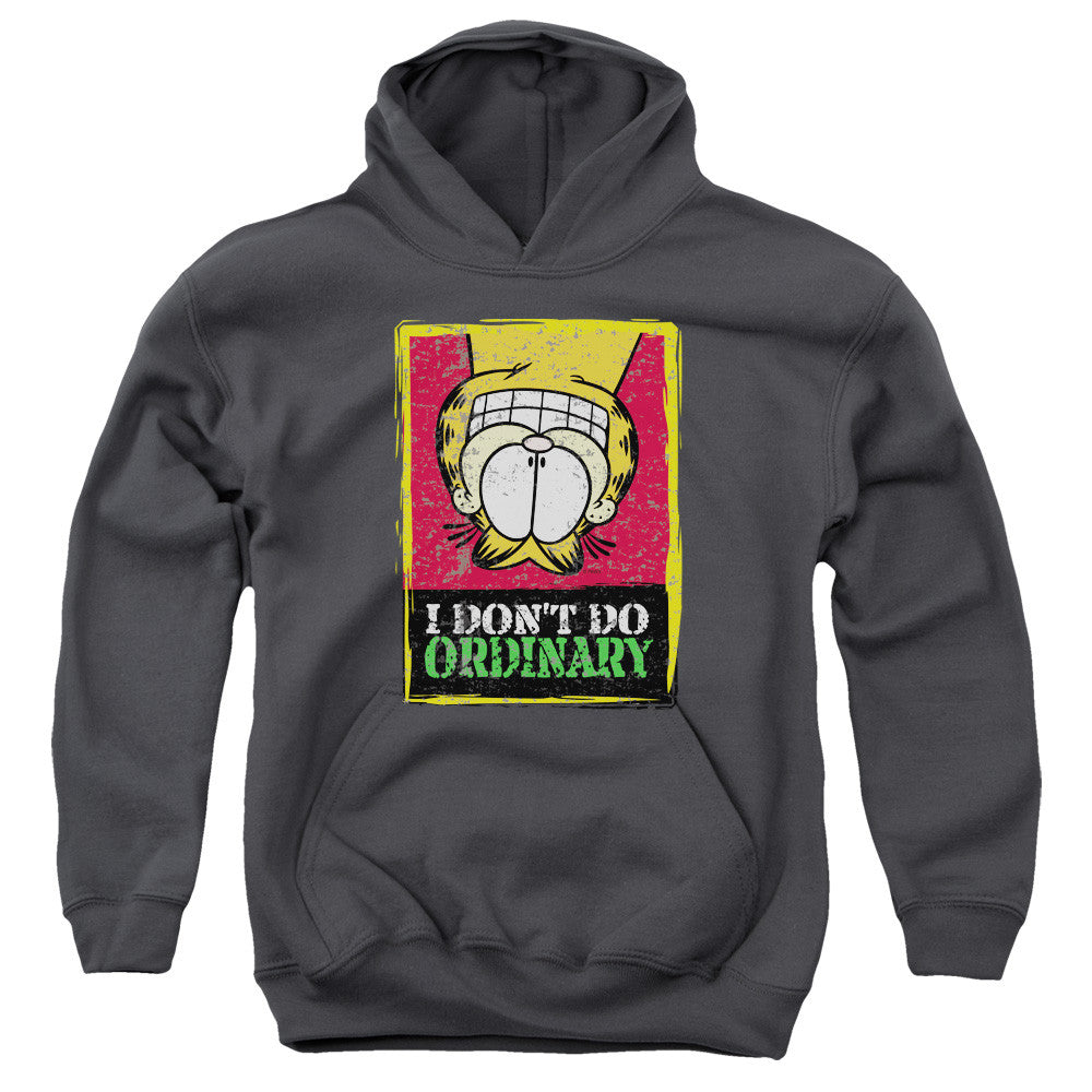 Youth Hooded Sweatshirt