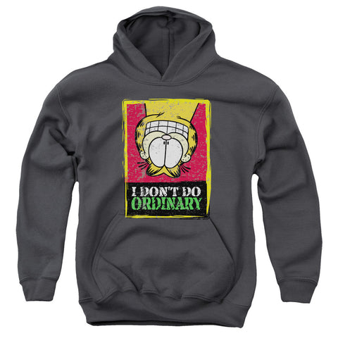 Youth Hooded Sweatshirt