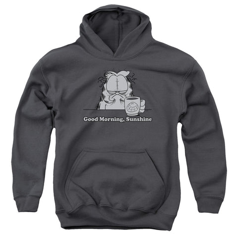 Youth Hooded Sweatshirt