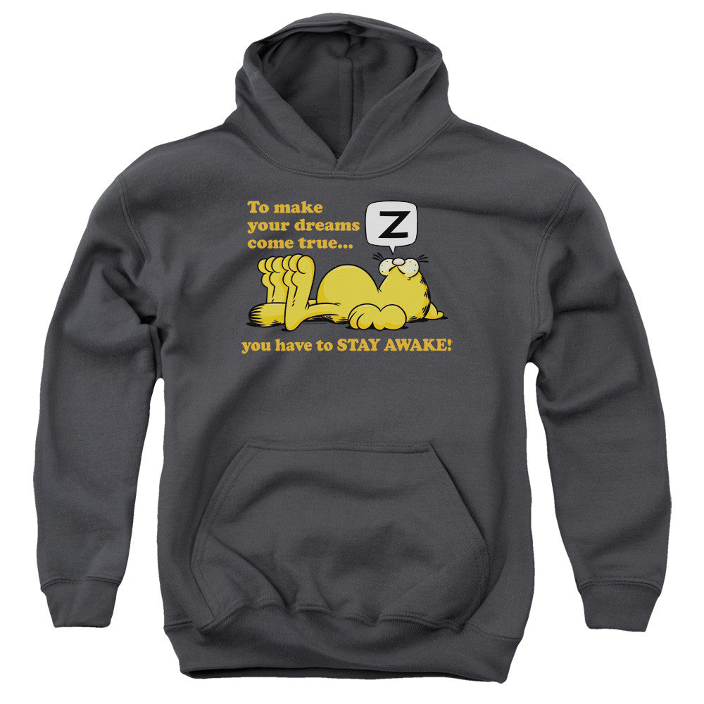 Youth Hooded Sweatshirt