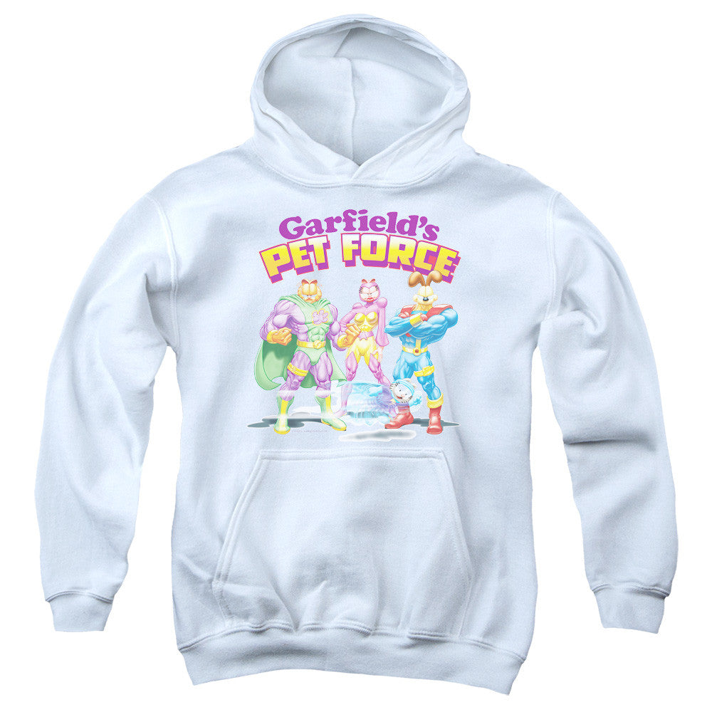 Youth Hooded Sweatshirt