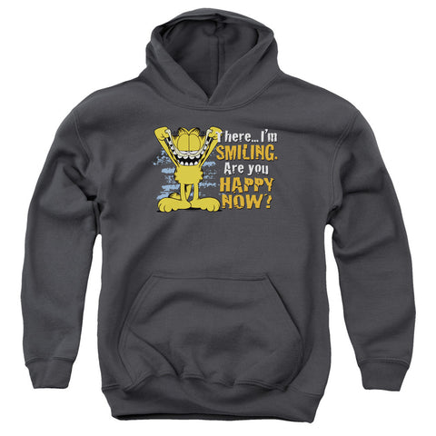 Youth Hooded Sweatshirt