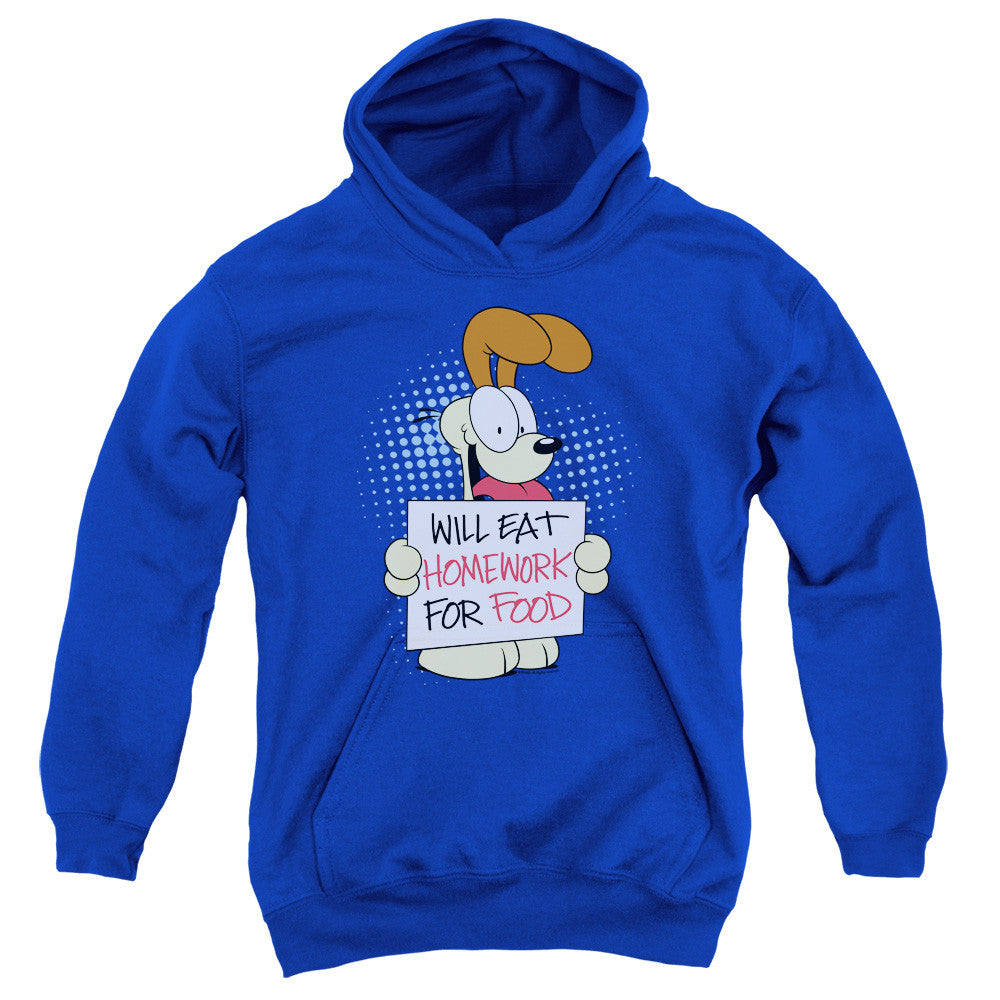 Youth Hooded Sweatshirt