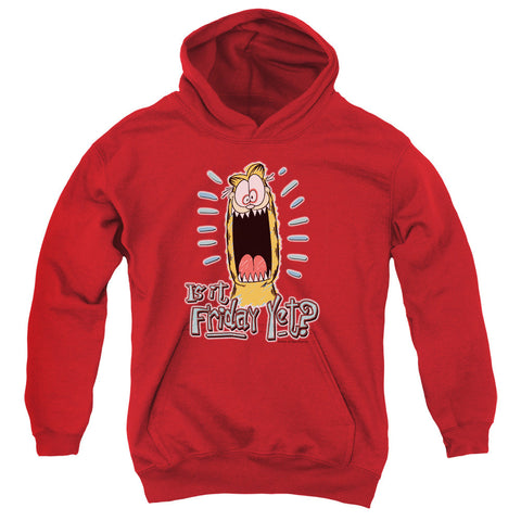 Youth Hooded Sweatshirt