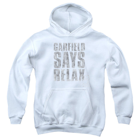 Youth Hooded Sweatshirt