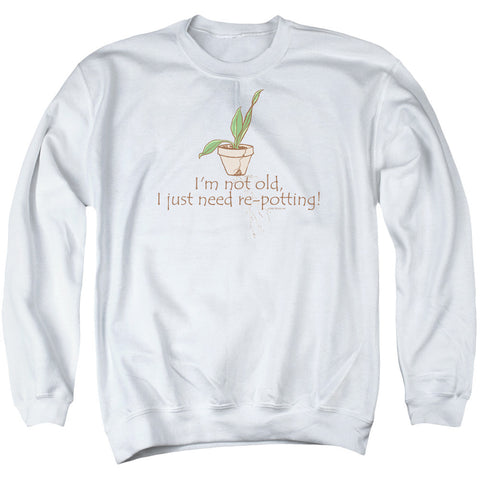 Adult Crewneck Sweatshirt