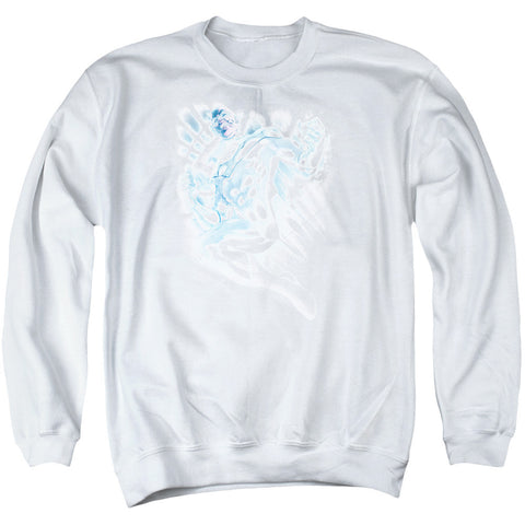 Adult Crewneck Sweatshirt