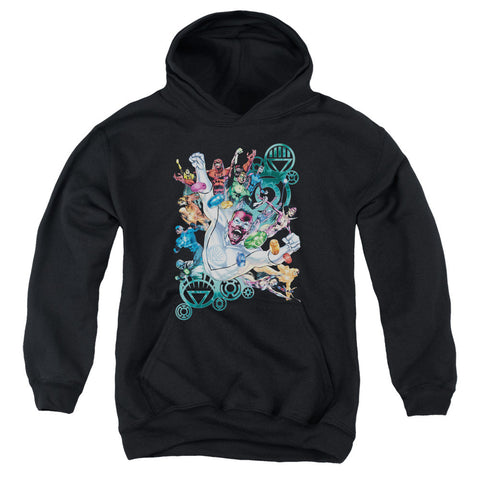 Youth Hooded Sweatshirt