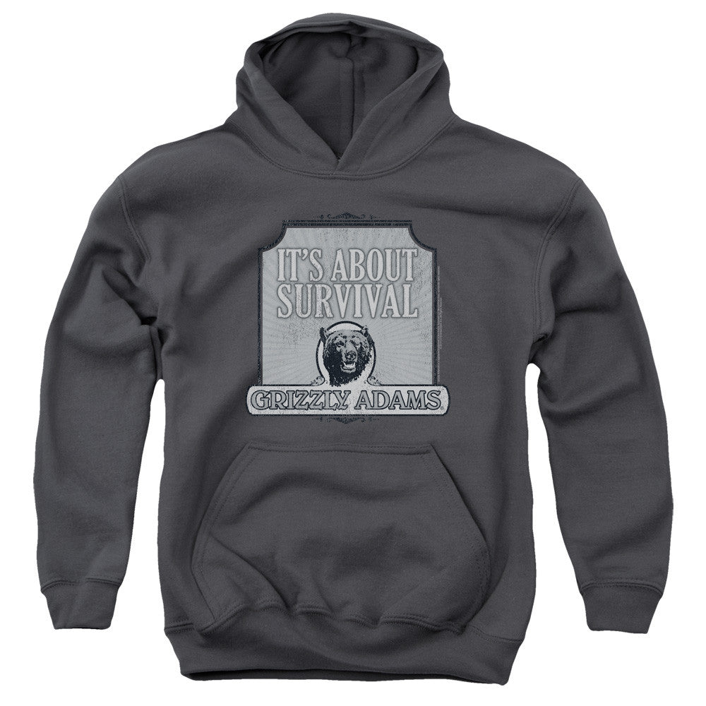 Youth Hooded Sweatshirt