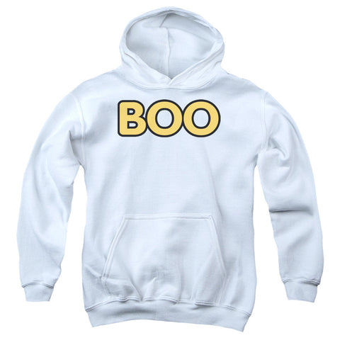 Youth Hooded Sweatshirt