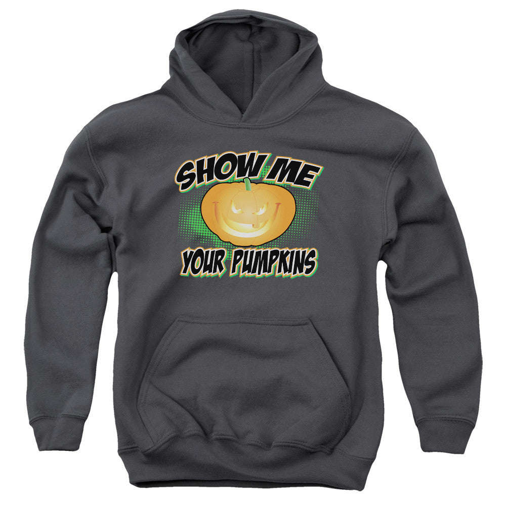 Youth Hooded Sweatshirt