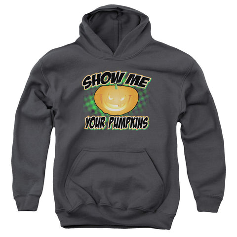 Youth Hooded Sweatshirt