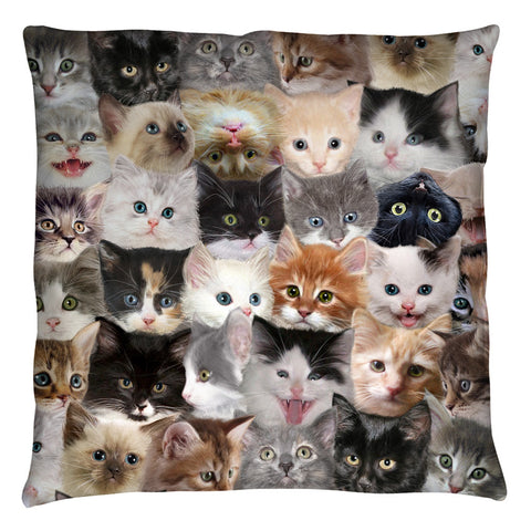 Throw Pillow