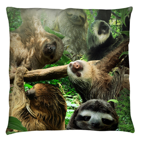 Throw Pillow