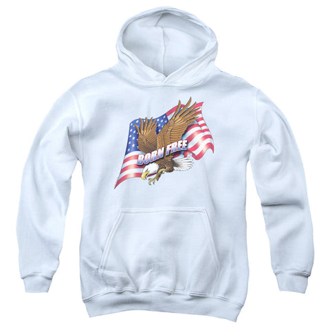 Youth Hooded Sweatshirt