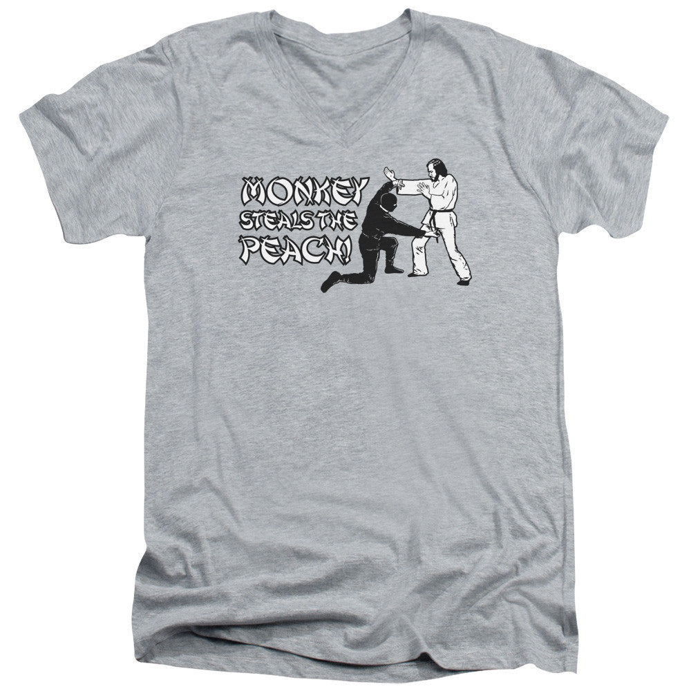 Adult Slim Fit V Neck