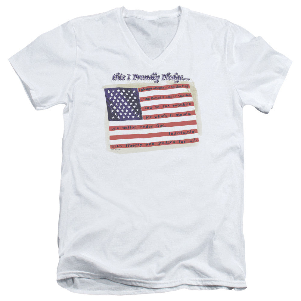 Adult Slim Fit V Neck