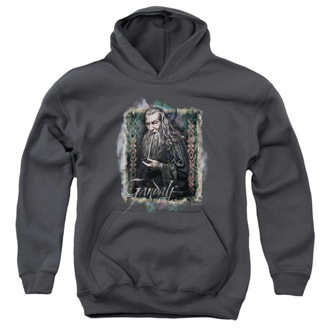 Youth Hooded Sweatshirt