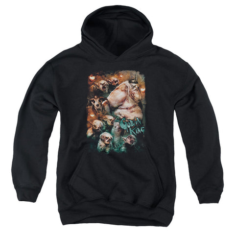 Youth Hooded Sweatshirt