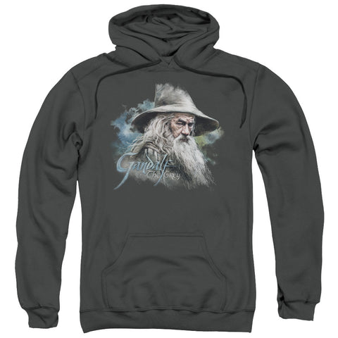 Adult Pull-Over Hoodie