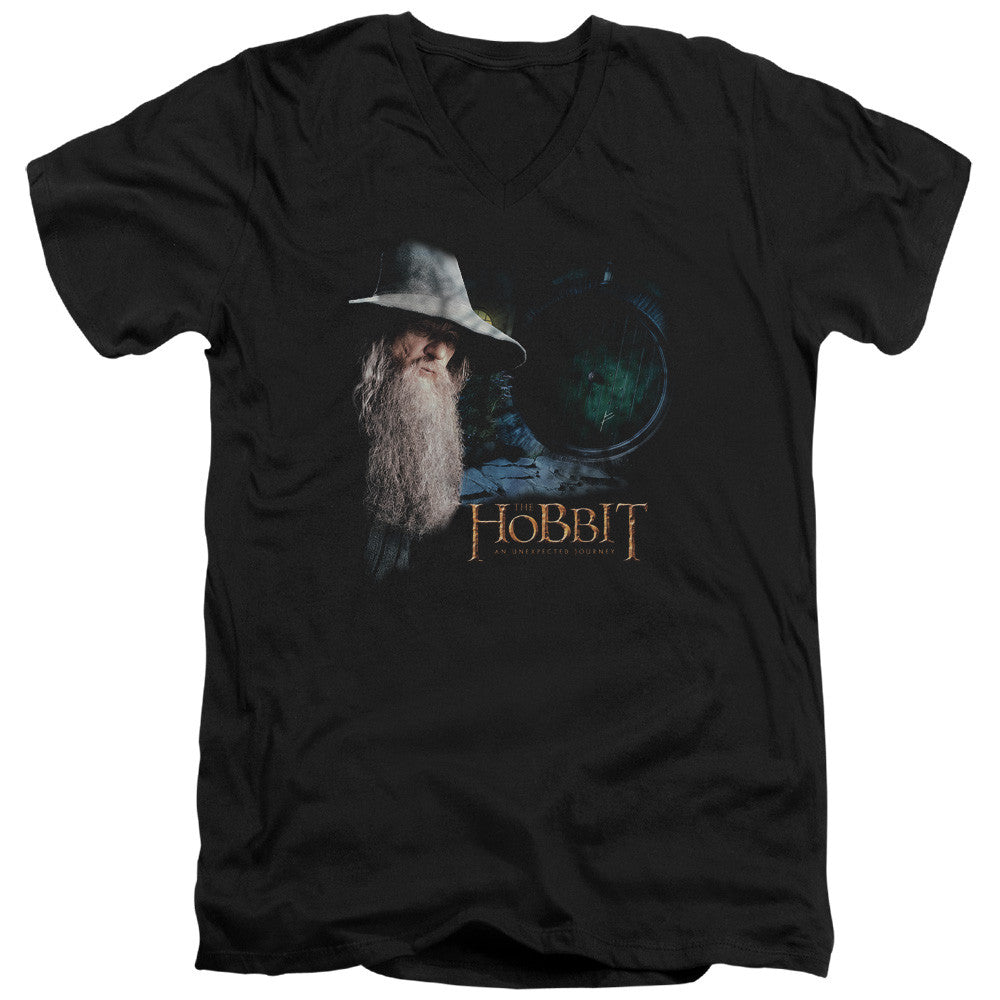 Adult Slim Fit V Neck