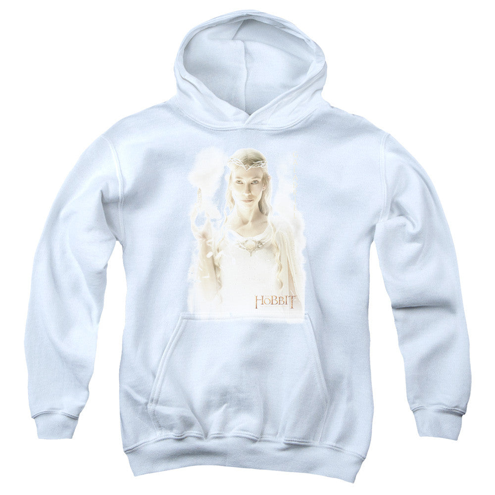 Youth Hooded Sweatshirt