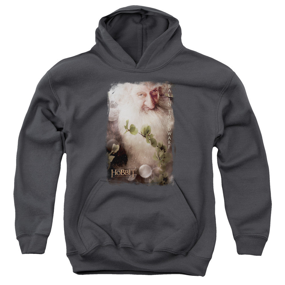 Youth Hooded Sweatshirt