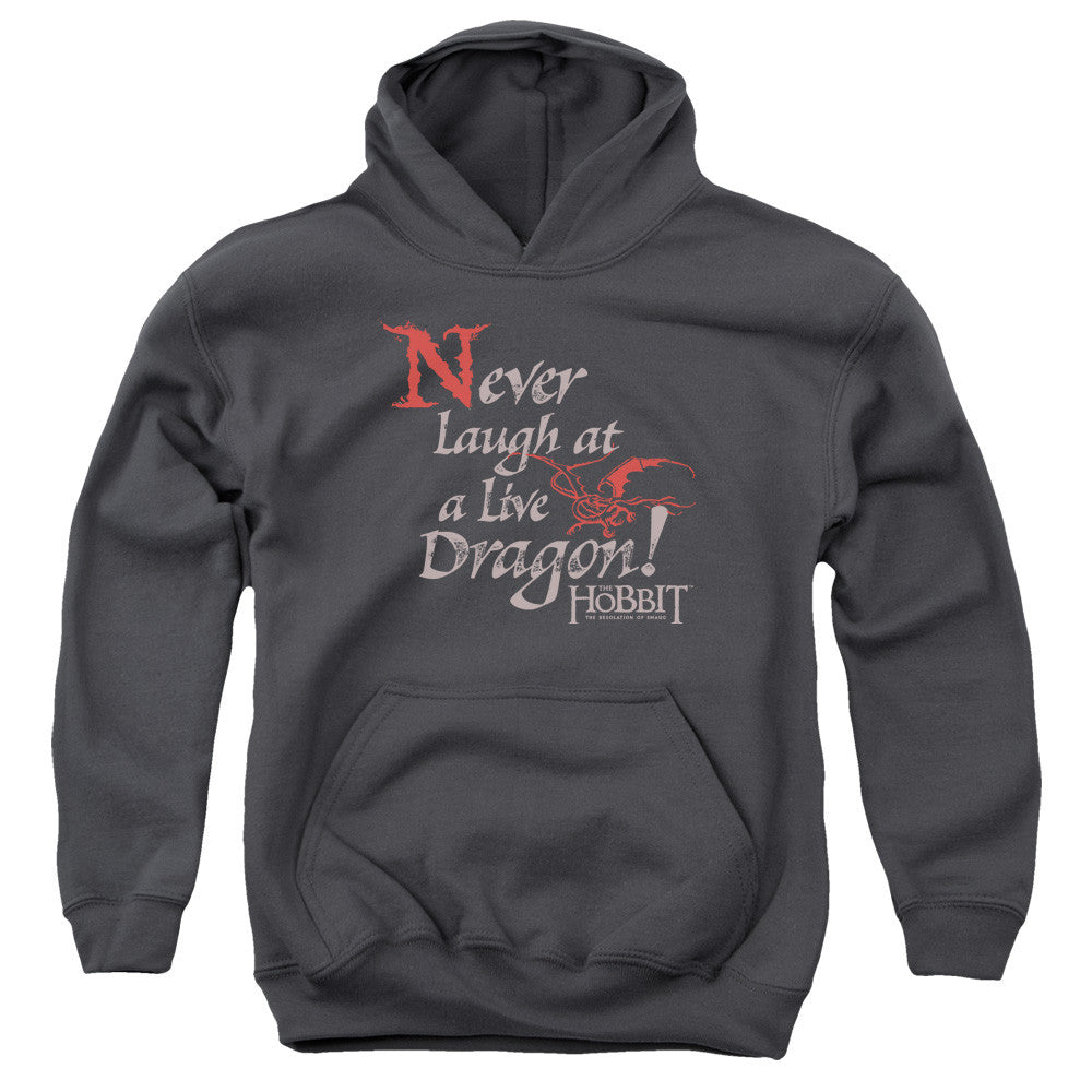 Youth Hooded Sweatshirt