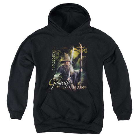 Youth Hooded Sweatshirt