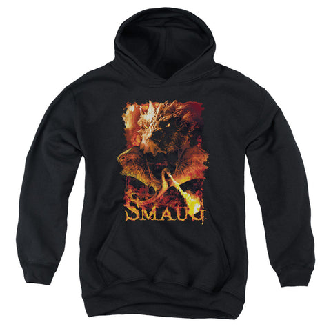 Youth Hooded Sweatshirt