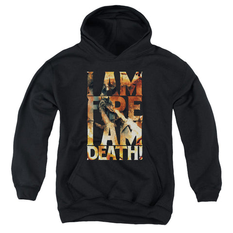 Youth Hooded Sweatshirt