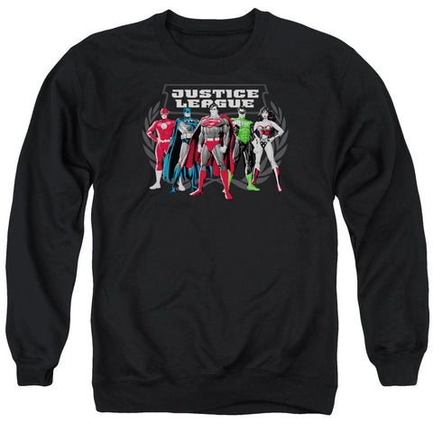 Adult Crewneck Sweatshirt