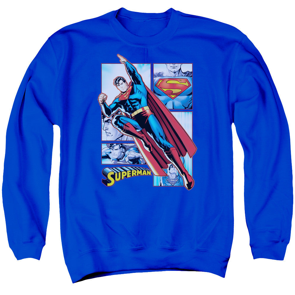 Adult Crewneck Sweatshirt