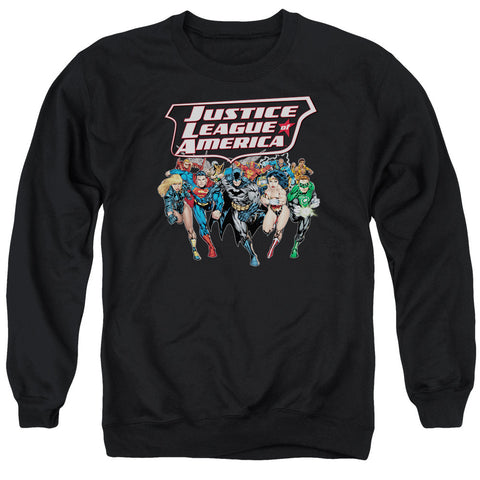 Adult Crewneck Sweatshirt