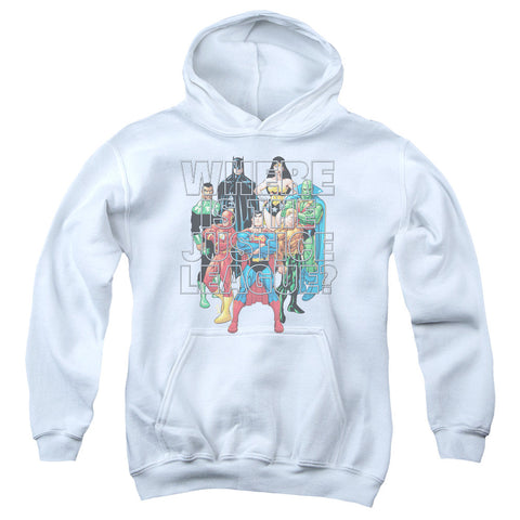 Youth Hooded Sweatshirt