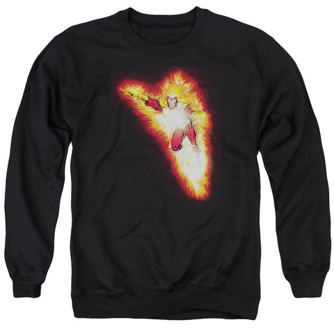 Adult Crewneck Sweatshirt