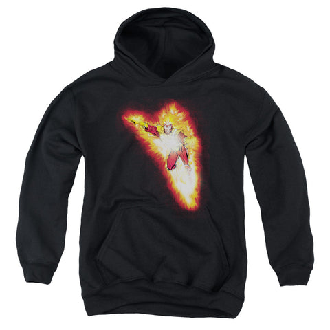 Youth Hooded Sweatshirt