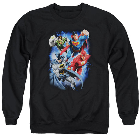 Adult Crewneck Sweatshirt