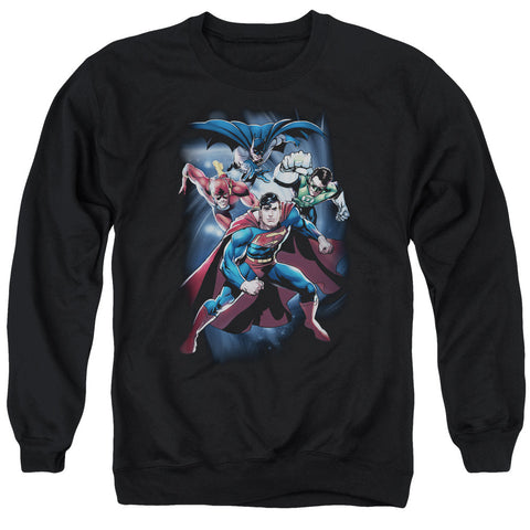 Adult Crewneck Sweatshirt