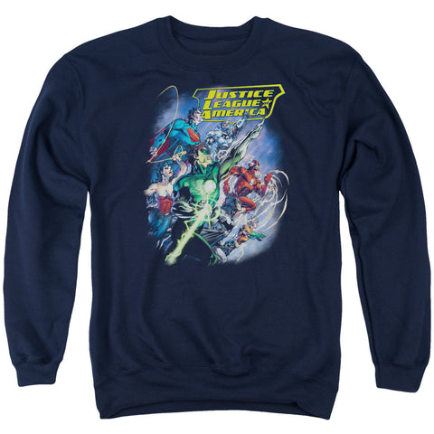 Adult Crewneck Sweatshirt