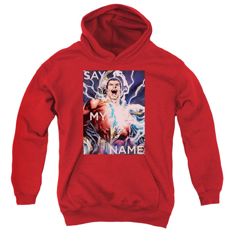 Youth Hooded Sweatshirt