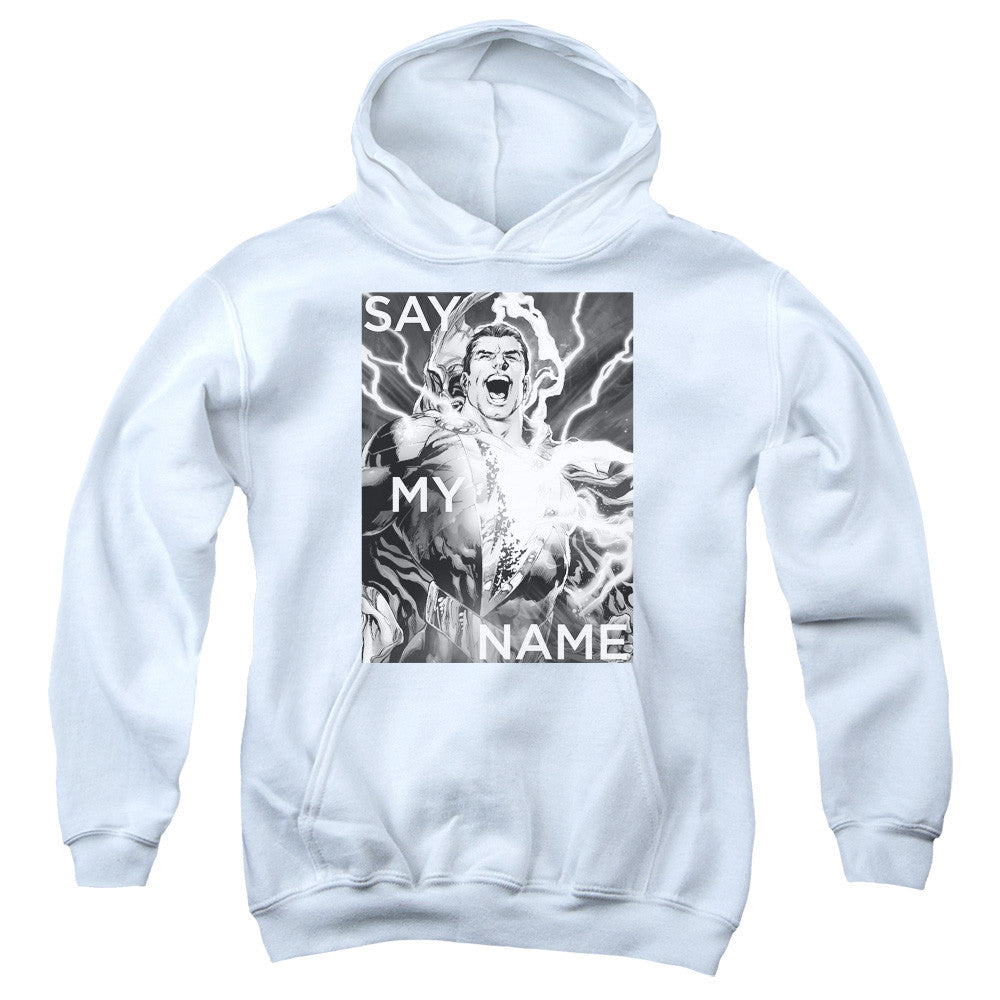 Youth Hooded Sweatshirt