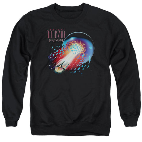 Adult Crewneck Sweatshirt