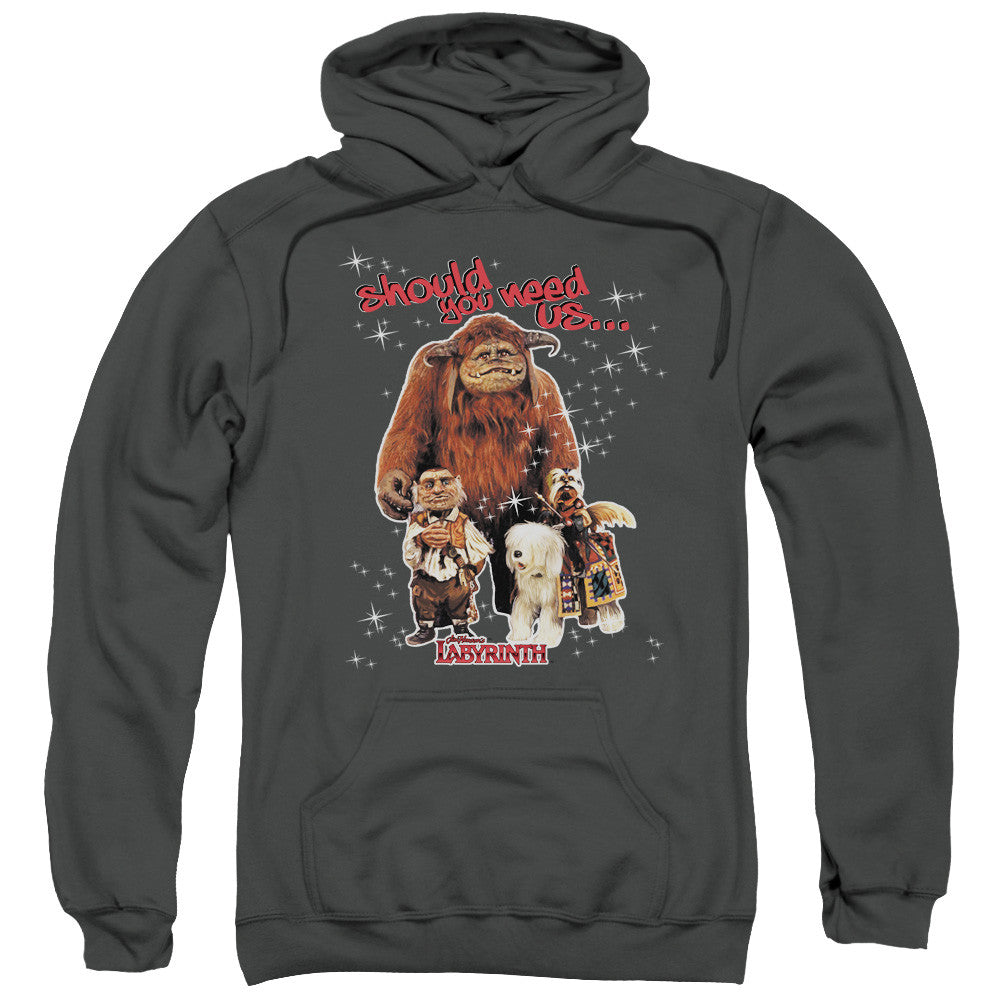 Adult Pull-Over Hoodie