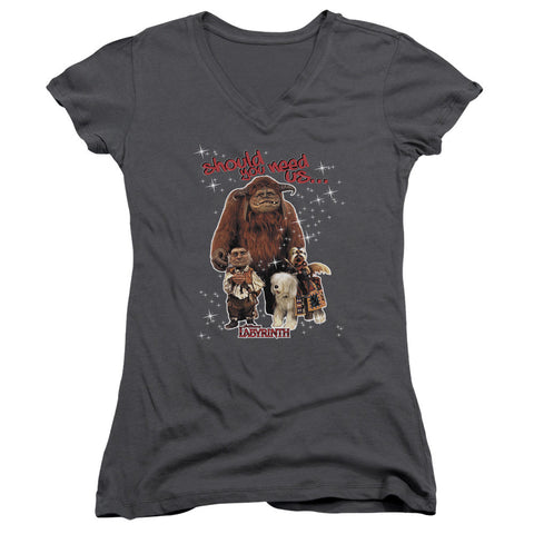 Juniors Sheer Cap Sleeve V-Neck