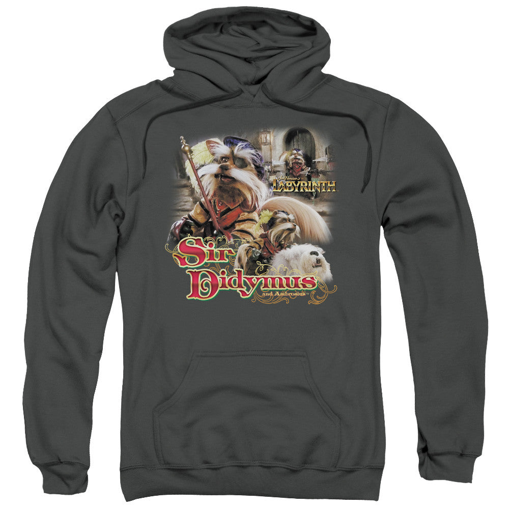 Adult Pull-Over Hoodie